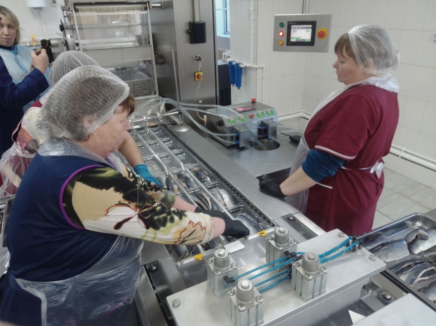 Рыбный день: в Забайкалье рыбу активно и много продают оптом, в розницу и на ярмарках 